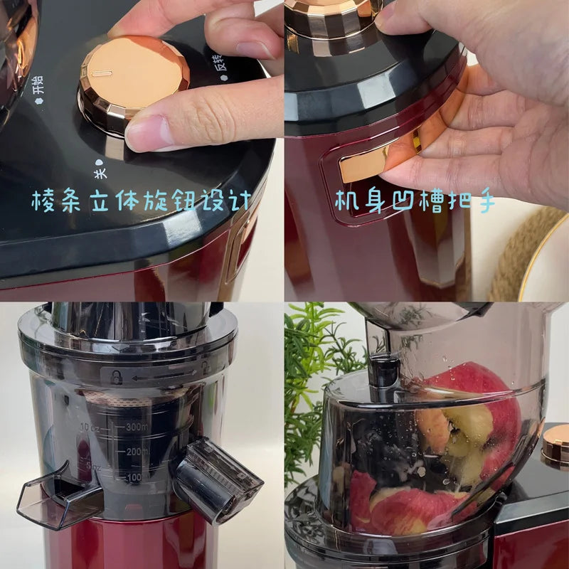 AuraJuice: Whole Fruit Slow Juicer & Cold Press Extractor