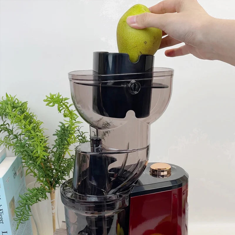 AuraJuice: Whole Fruit Slow Juicer & Cold Press Extractor